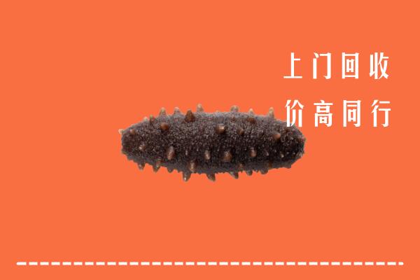 高价求购：杭州市拱墅回收海参