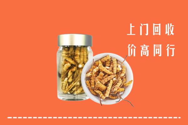 收购行情：杭州市拱墅回收冬虫夏草