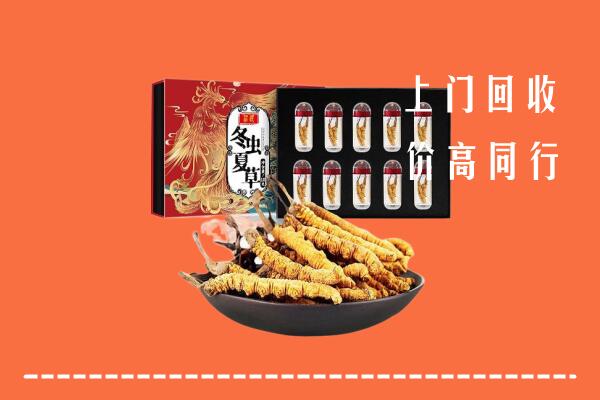 收购行情：杭州市拱墅回收虫草